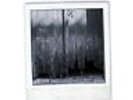 Peter Hammill - From The Trees Vinyl LP Fie  Recor NEW