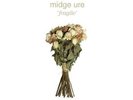 Ure Midge-Fragile  VINYL NEW