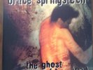 Bruce Springsteen - Ghost of Tom Joad - LP - Vinyl -