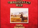 Tragically Hip - Road Apples ( Vinyl LP) NEW