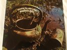 ROOSEVELT HOLTS - PRESENTING THE COUNTRY BLUES LP - BLUE HORIZON 1968 - NEAR MIN