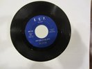 VERY RARE 45 THE AD-LIBS HUMAN 1966 A.G.P. NEW YORK IN THE DARK EXC.