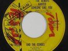 Northern Soul 45 - And The Echoes - I've Always Wanted - Soultrain - mp3