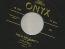 DOOWOP R&B bw/ JUMP-  PEARLS -  TREE IN THE MEADOW  -HEAR BOTH -1956 ONYX