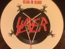 Slayer Reign In Blood RARE Original UK Picture Disc Near Mint Condition Vinyl LP