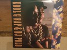 KOOL G RAP AND DJ POLO ROAD TO THE RICHES QUADRUPLE VINYL ALBUM