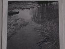 PERTH COUNTY CONSPIRACY black creek/at one 1974 hippie folk psych PS 7