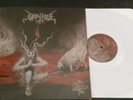 Baptism Devil`s Fire Clear Vinyl LP,Black Metal,Horna,Beherit,Archgoat,Behemoth