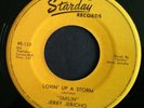 Rare 1953 -54 ? Hillbilly Country STARDAY 133 45 Jerry Jericho LOVIN UP A STORM