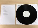 Holy Terror ?– Terror and Submission (RARE VINYL TEST PRESSING)
