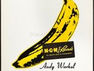 THE VELVET UNDERGROUND & NICO RARE US ORIG'67 1ST PRESS MONO TORSO COVER SHRINK