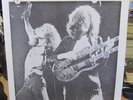 LED ZEPPELIN LIMITED NUMBERED EDITION  RECORD 