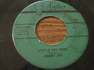 BENNY JOY   CRASH THE PARTY (1958) ANTLER DJ-41 RARE ROCKER ROCKABILLY PROMO VG+