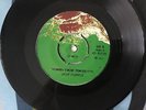 DEEP PURPLE woman from tokyo/super trouper VERY RARE 1973 TURKEY 7”