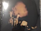 Riot Act [LP] by Pearl Jam (Vinyl, Nov-2002, Epic USA) Sealed 