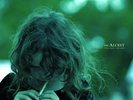 ALCEST - Souvenirs D'Un Autre Monde LP - WHITE COLORED Vinyl - Peste Noire