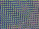 Merriweather Post Pavilion [LP] by Animal Collective (Vinyl, Jan-2009, Domino...
