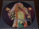LED ZEPPELIN Graphic 12