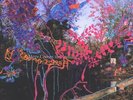 Animal Collective - Here Comes The Indian Vinyl LP