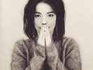 Bjork - Debut Vinyl LP
