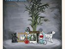 Tigers Jaw - Spin Vinyl LP