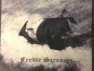 11Burzum11 - Feeble Screams 7