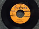 THE EARTHQUAKES Bashful Guy FORTUNE 534 Listen