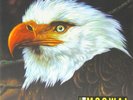 Mogwai The hawk Is Howling 2XLP Sealed HQ-180Gram Vinyl Pressing  New OOP