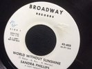 Sandra Phillips, World Without Sunshine / Oki