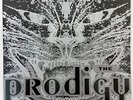 The Prodigy - Charly / Your Love / Pandemonium 12