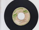 EEK A MOUSE/ IDLER'S CORNER  -  DOUGLAS BOOTHE  (70 REGGAE ROOTS 7
