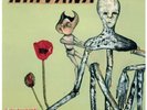 Nirvana Incesticide 2 x Vinyl LP -  45RPM Deluxe Remastered 25th Anniversary NEW