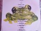 Silverchair - Frogstomp - Limited Edition, Card Backed, Green Vinyl - Rock - Vin