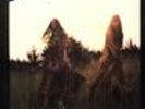 First Aid Kit - Lion's Roar (Vinyl Used Like New)