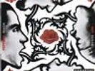 Blood Sugar Sex Magik [VINYL] Red Hot Chili Peppers Vinyl