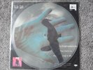 PEARL JAM JEREMY ORIGINAL VINYL PICTURE DISC