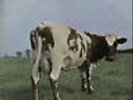 Pink Floyd vinyl LP album record Atom Heart Mother - EMI - EX UK SHVL781