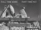 Kankick (Kan Kick) - Full Time Work, Part Time Pay Vinyl 2LP DA0152497