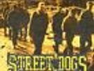 STREET DOGS Savin Hill RED Vinyl 250 COPIES TAANG  Records) DROPKICK MURPHY'S
