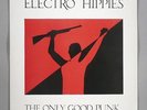 Electro Hippies - The Only Good Punk... ...Is A Dead One - 12