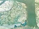 Yoko Ono-Plastic Ono Band  VINYL NEW