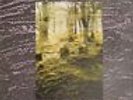 The Celibate Rifles Blind Ear NEAR MINT Rattlesnake Vinyl LP