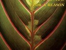 Lifetones - For A Reason [New Vinyl LP] Gatefold LP Jacket, Digital Download