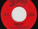 SWINGING BRIDGETTES Secret Spy MASTERPIECE crossover northern soul RARE 45 HEAR