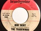 * TRADEWINDS Mini Skirt/Down To Seashore GARAGE FRAT STOMPER Brandywine 45 Hear