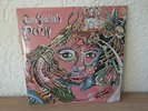 Igra Staklenih Perli ?– Drives Vinyl Psych Rock Germany 1994 KD003