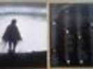 Neil young harvest moon Vinyl. 1992. Good condition.