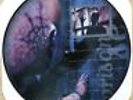 TOOL Sober Picture Disc Vinyl LP Promo UK Import Unplayed Prison Sex