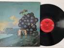 Moby Grape - Wow - 1968 US 1st Press CXS 3 (NM-) Ultrasonic Cleaned