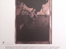 PIXIES Surfer Rosa 4AD RECORDS Sealed 180 Gram Vinyl Record LP